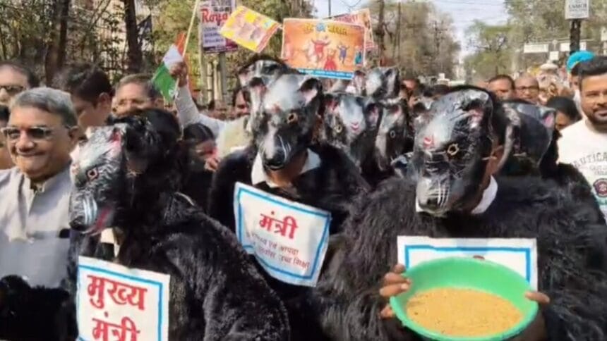 छत्तीसगढ़ में धान घोटाले को लेकर कांग्रेस का जोरदार प्रदर्शन, भाजपा सरकार के खिलाफ निकाली ‘मुसवा बारात