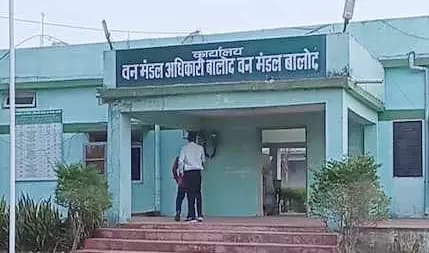 सरकारी संरक्षण में जंगलों की तस्करी?
