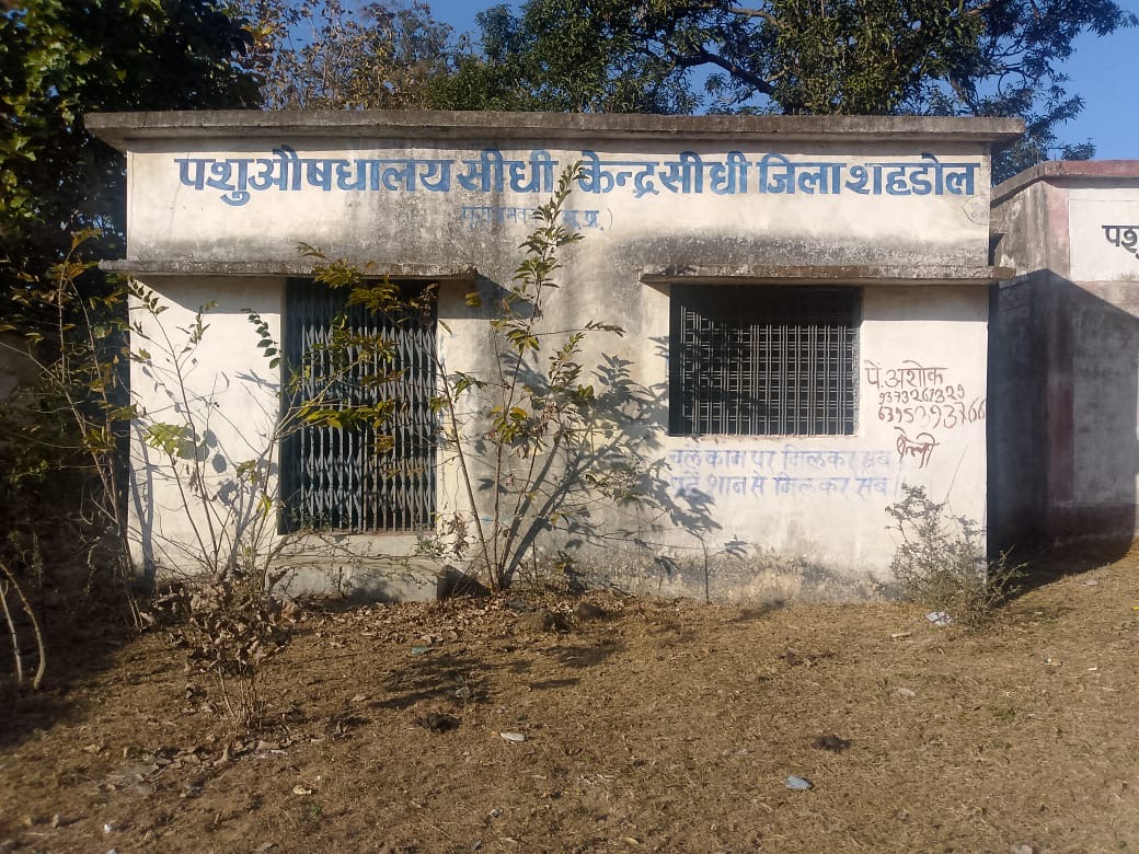 पशु औषधालय सिधी केंद्र पर गंभीर आरोप